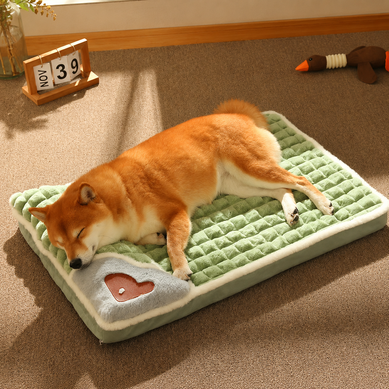The Settled Bed