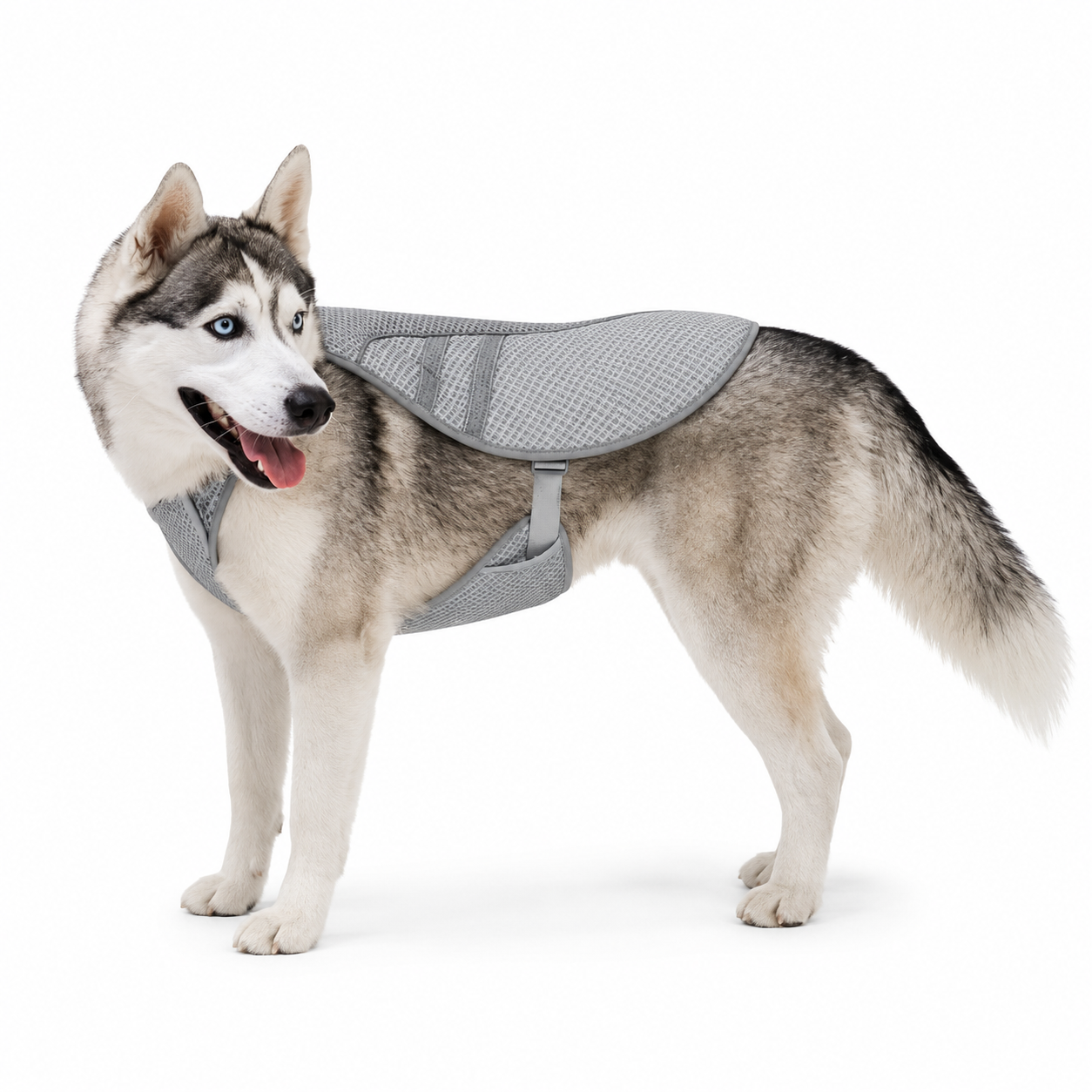 Cooling Dog Vest